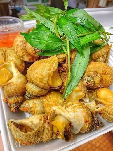 SLOT GACOR: Ubur Ubur Situs Judi Slot Online Makan Gacor Sampe Kenyang